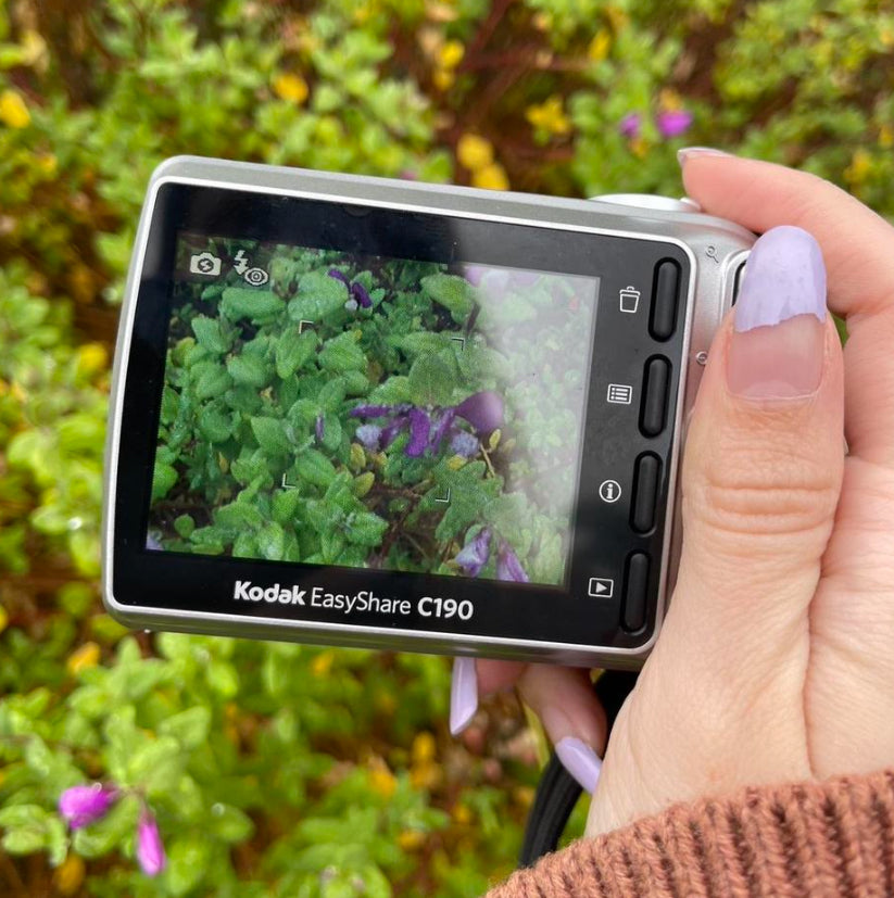 Kodak EasyShare C190