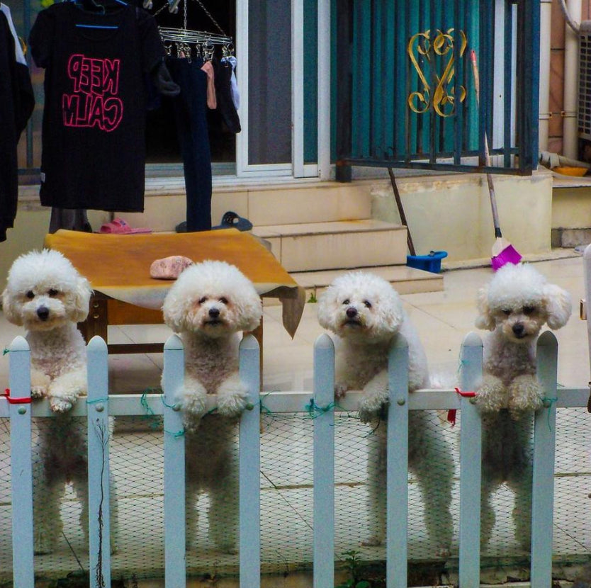 Kodak EasyShare C190