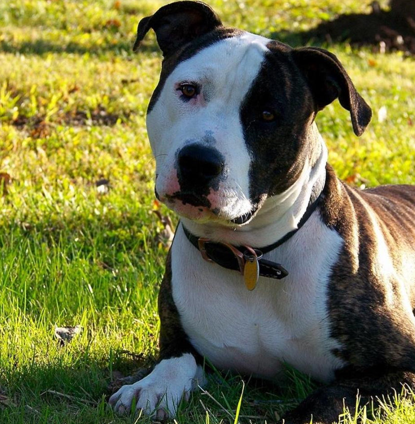 Kodak EasyShare Z612