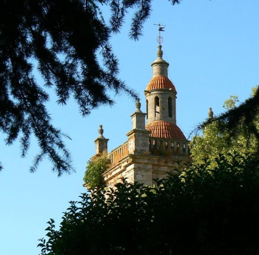 Panasonic Lumix DMC-FZ7