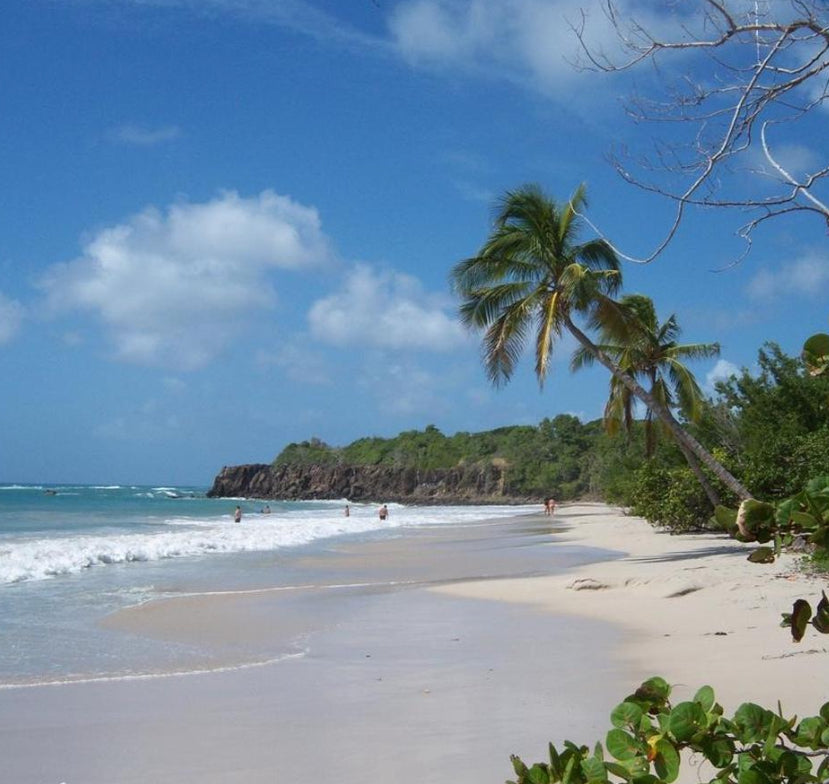 Kodak EasyShare V1003