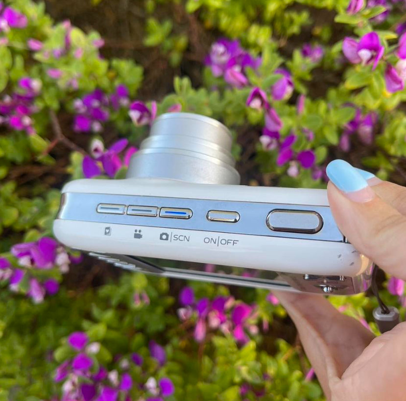 Kodak EasyShare V1003