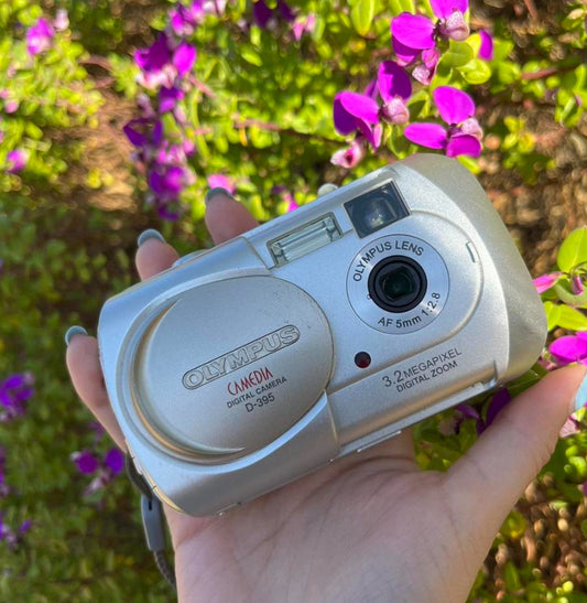 Olympus Camedia D-395