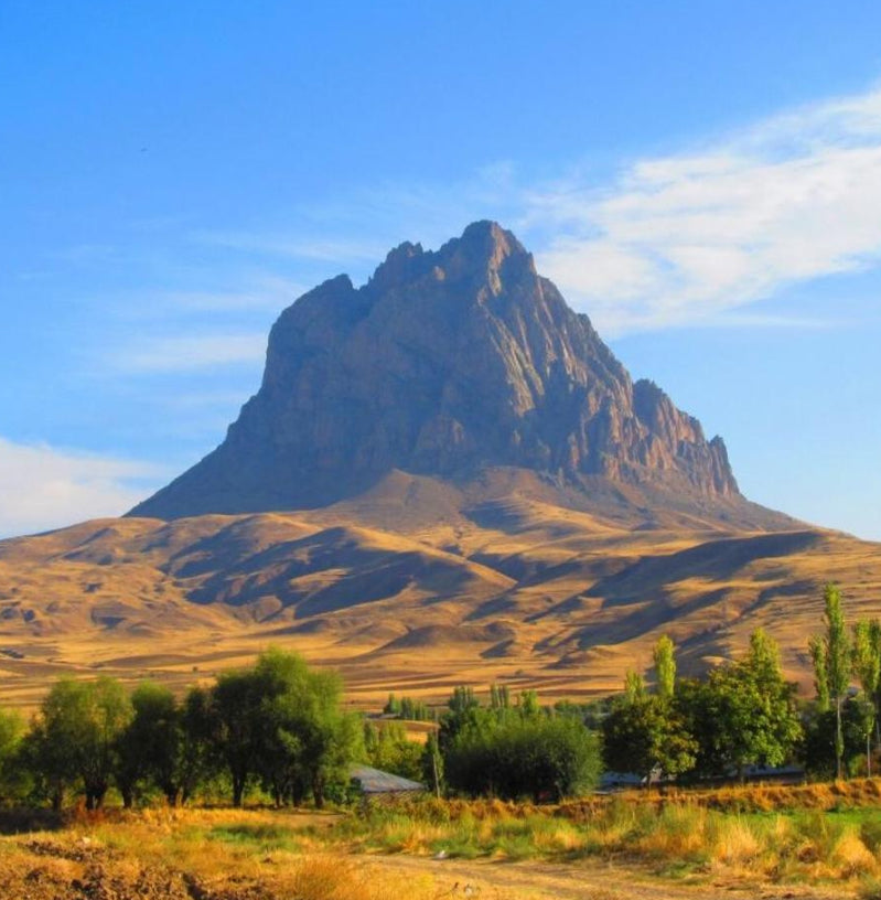 Canon Powershot SX130