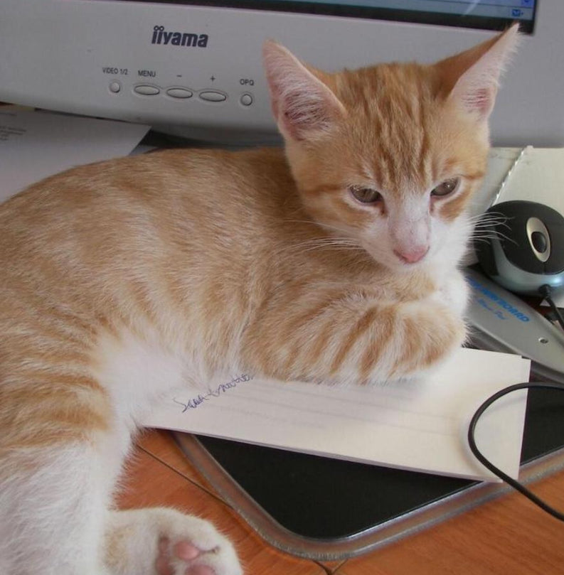 Kodak EasyShare P850