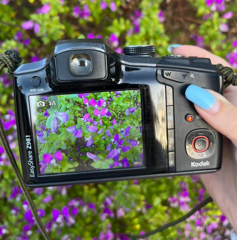 Kodak EasyShare Z981