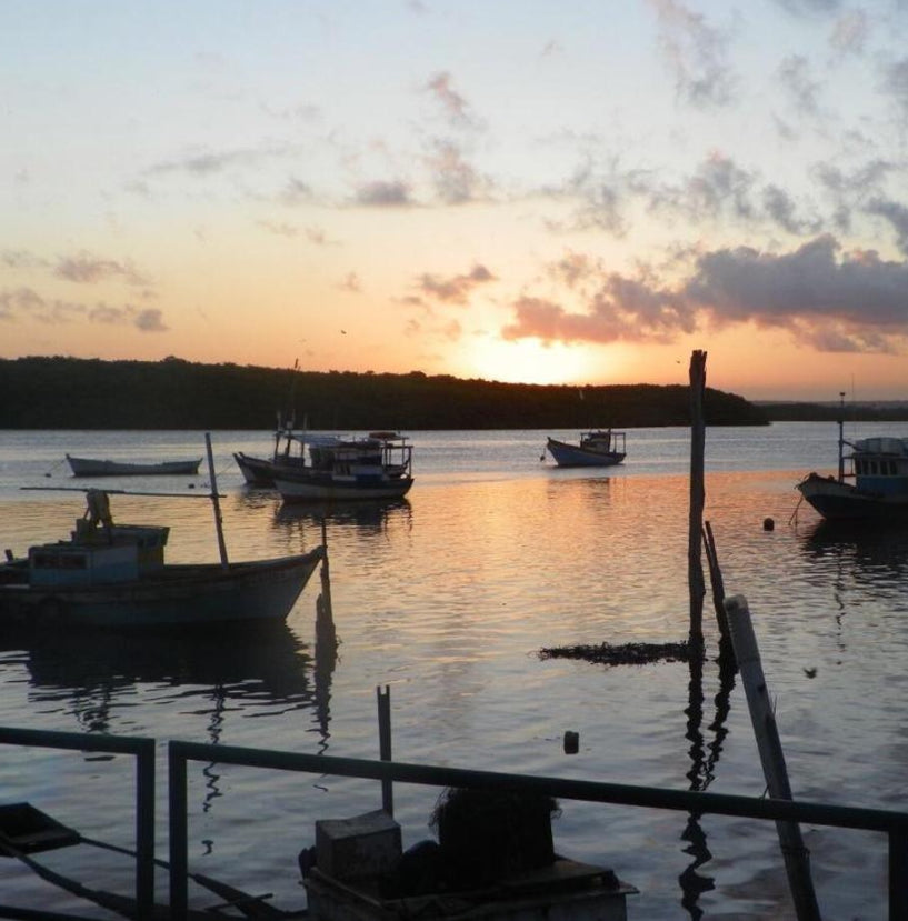 Kodak EasyShare Z981