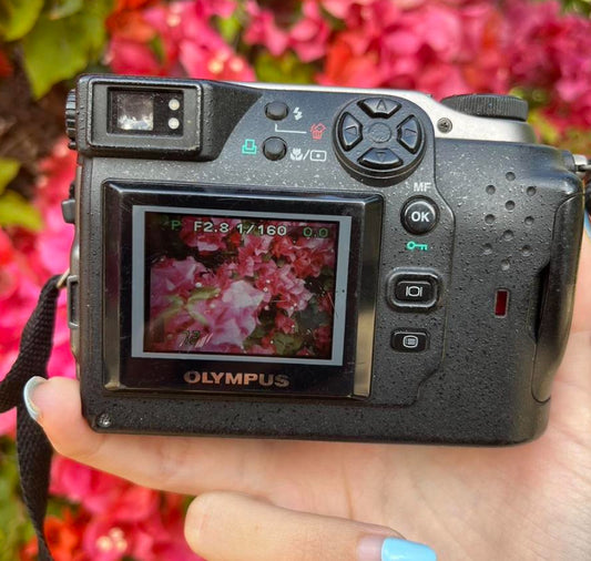 Olympus Camedia C-3000 Zoom