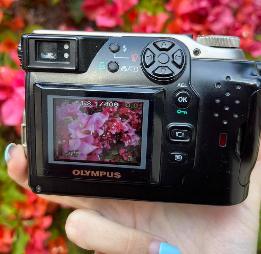 Vintage Olympus Camedia C-2040 Zoom