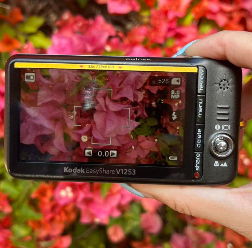 Kodak EasyShare V1253