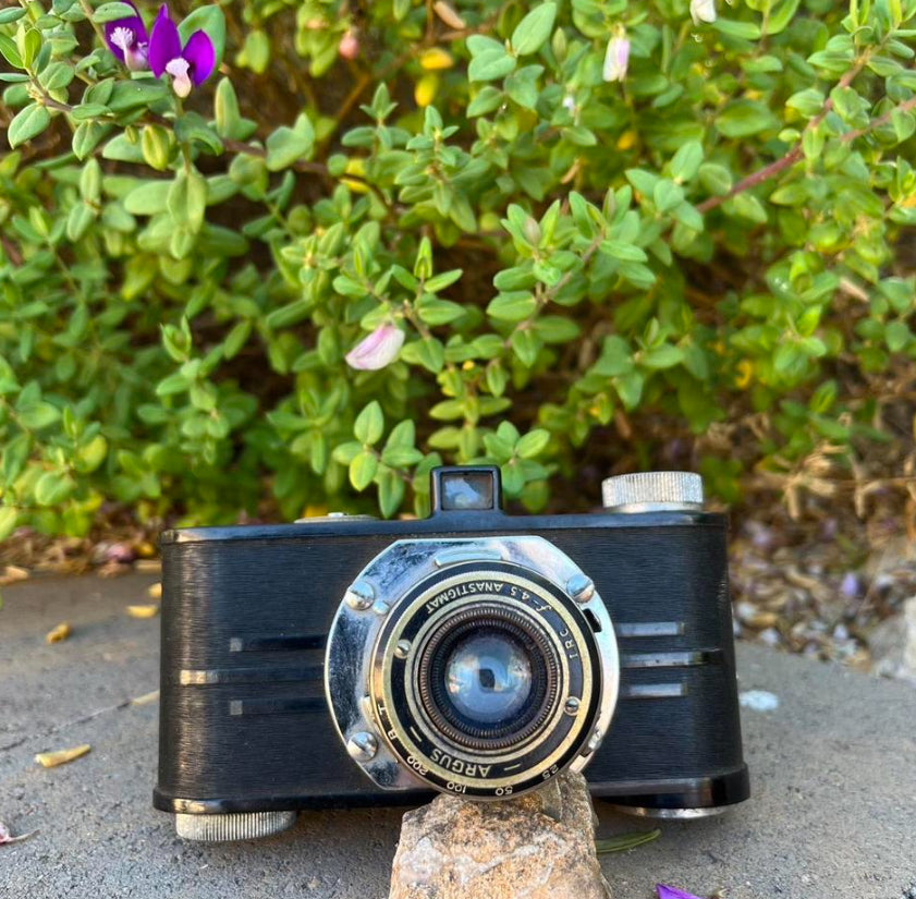 Vintage Argus Camera