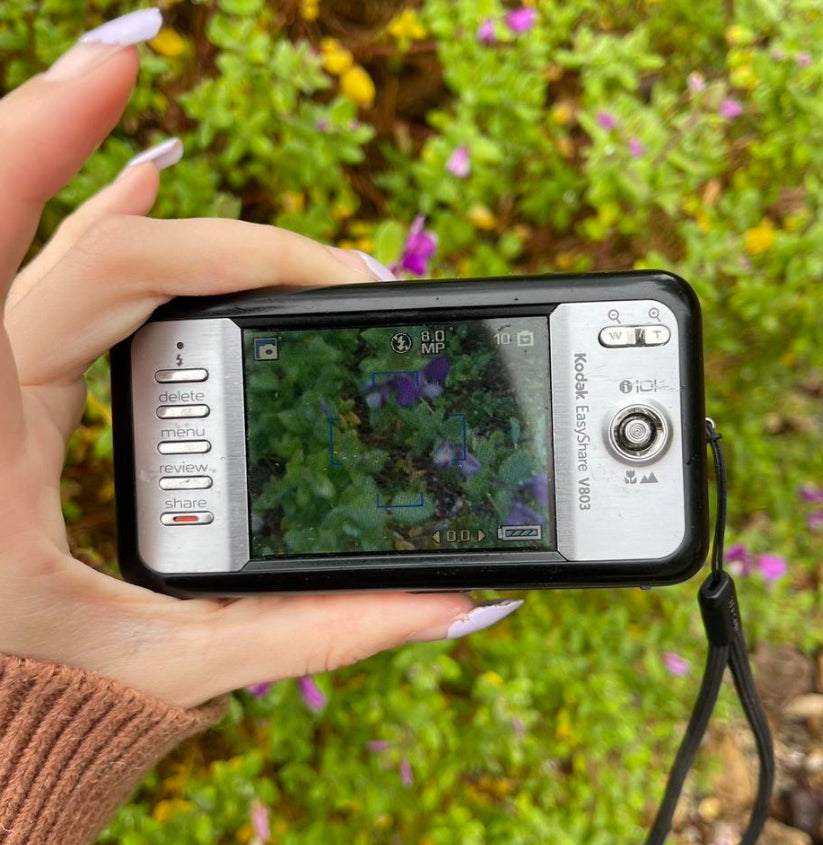 Kodak EasyShare V803