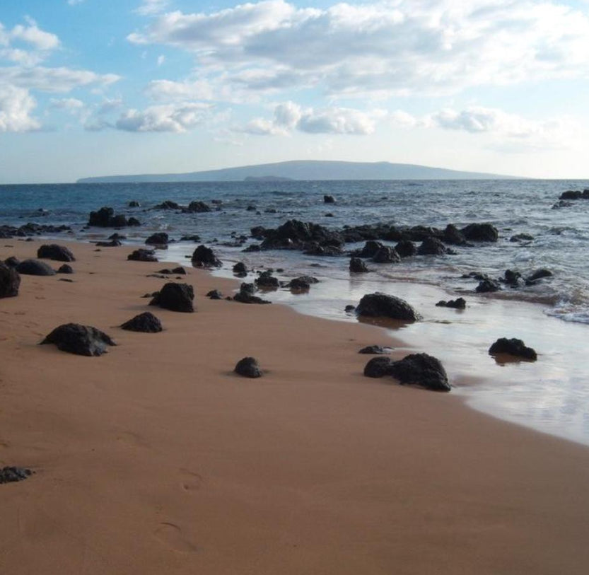 Kodak EasyShare V803