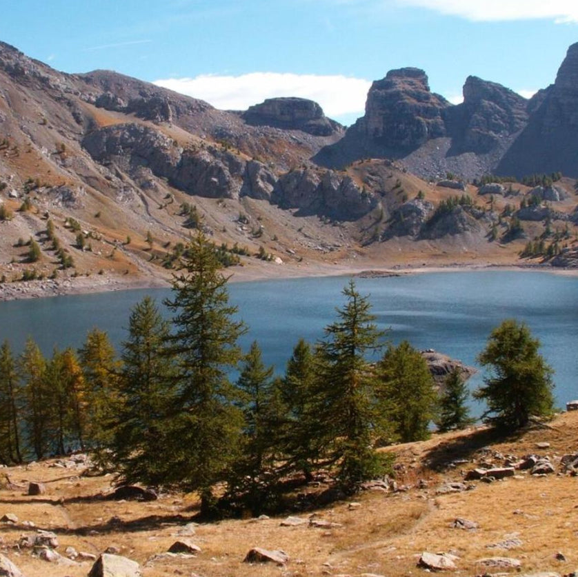 Vintage Konica Minolta DiMAGE Z3