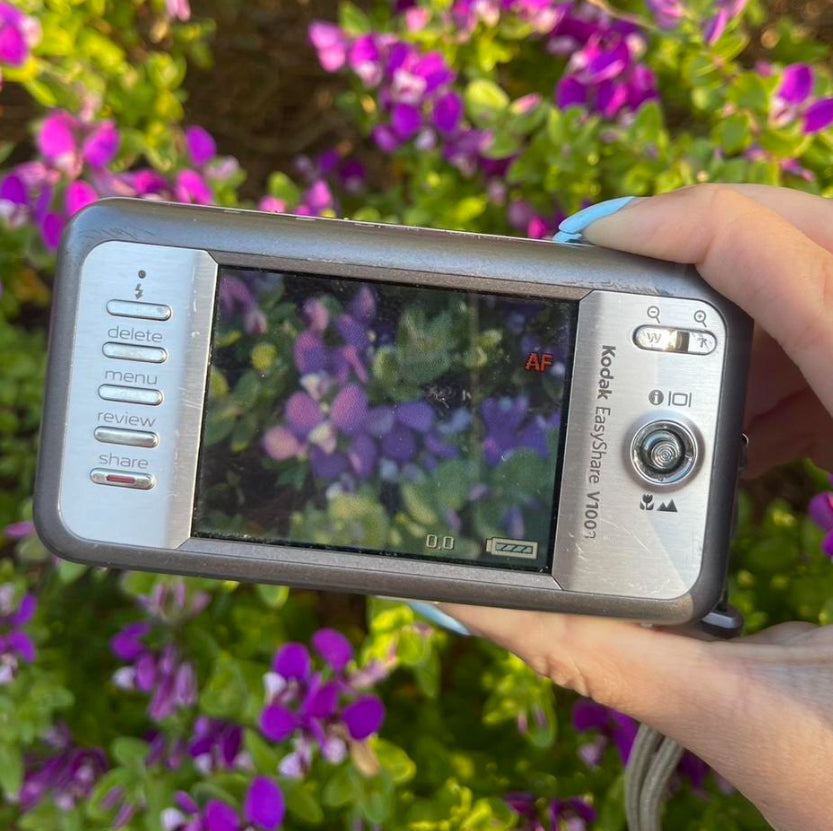 Kodak EasyShare V1003