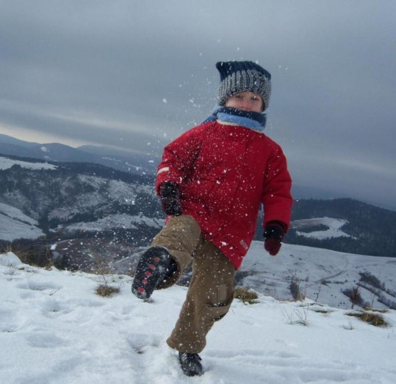 Kodak EasyShare V1003