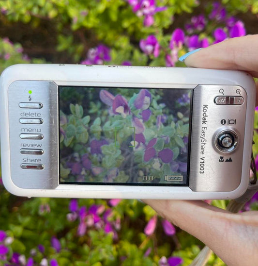 Kodak EasyShare V1003