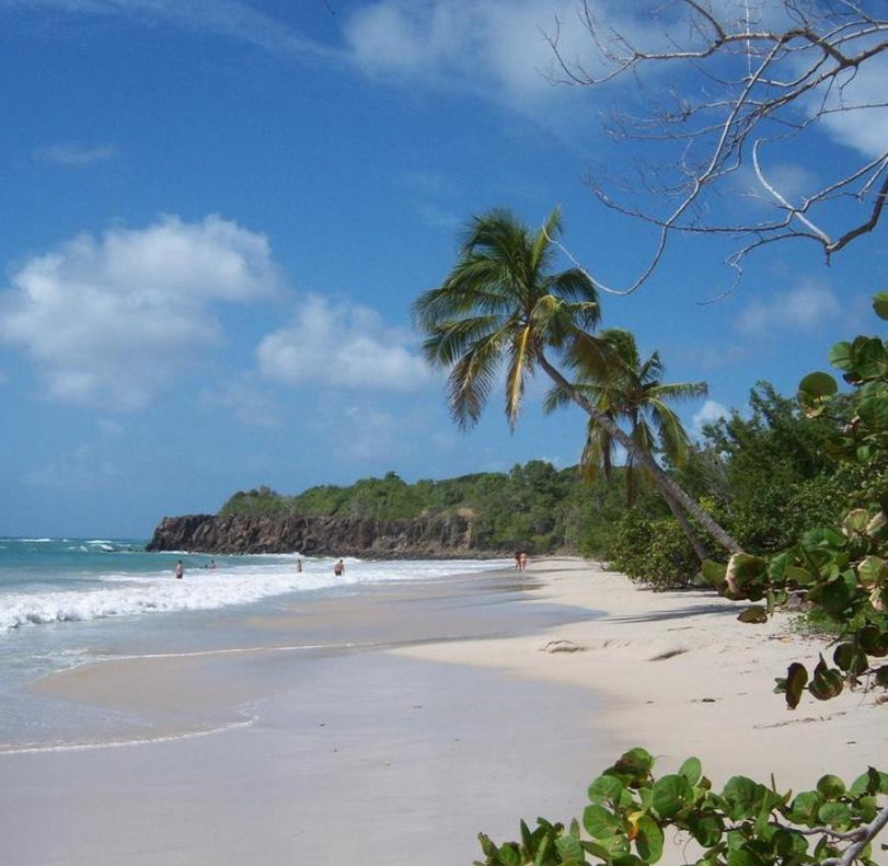 Kodak EasyShare V1003