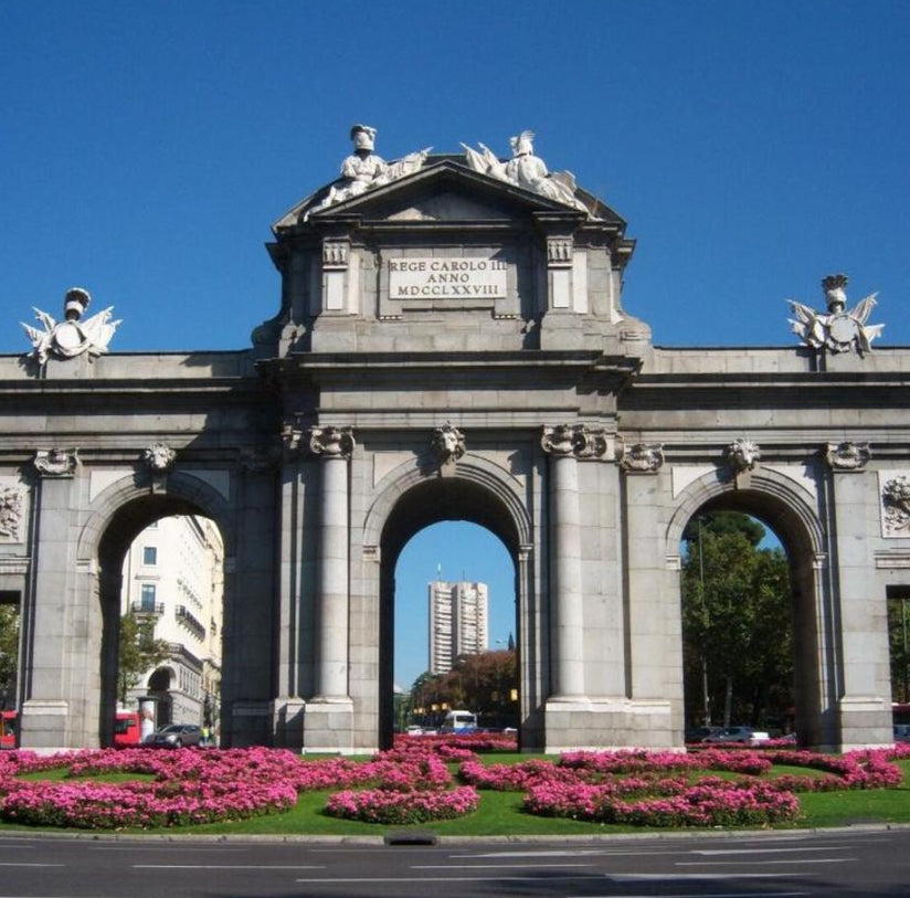 Kodak EasyShare V1003