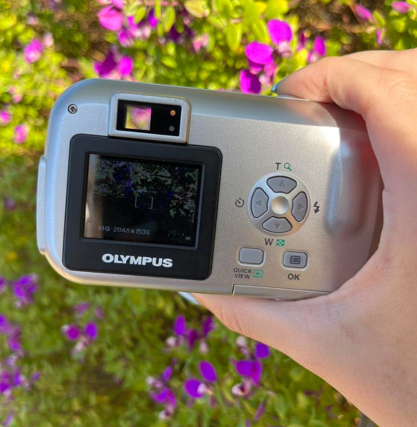 Olympus Camedia D-395