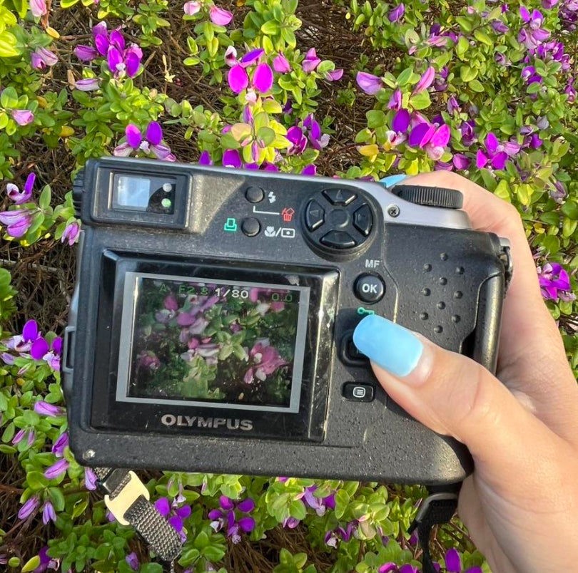 Olympus Camedia C-3000 Zoom