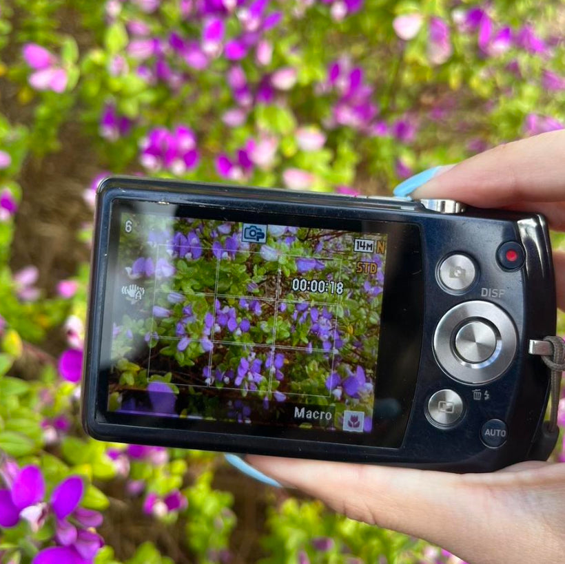 Casio Exilim Camera