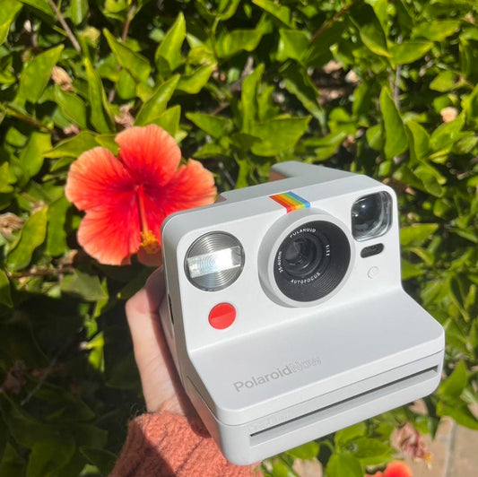 Polaroid Now