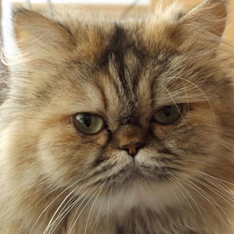 Fujifilm FinePix S8630 with Carrying Case