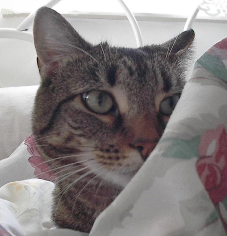 Vintage HP PhotoSmart 315