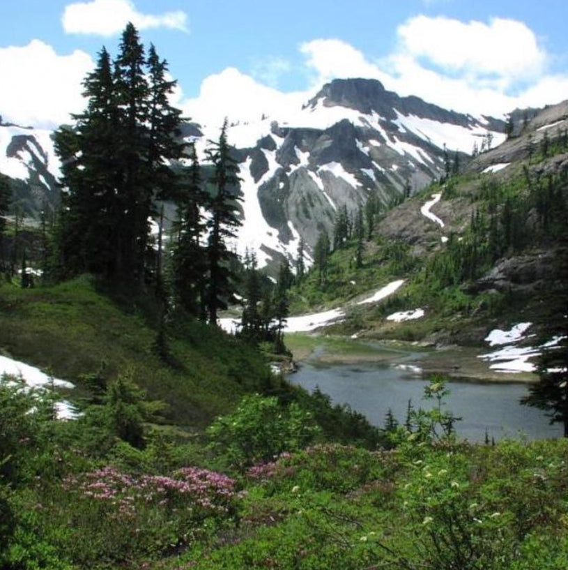 Vintage Olympus Camedia C-2040 Zoom