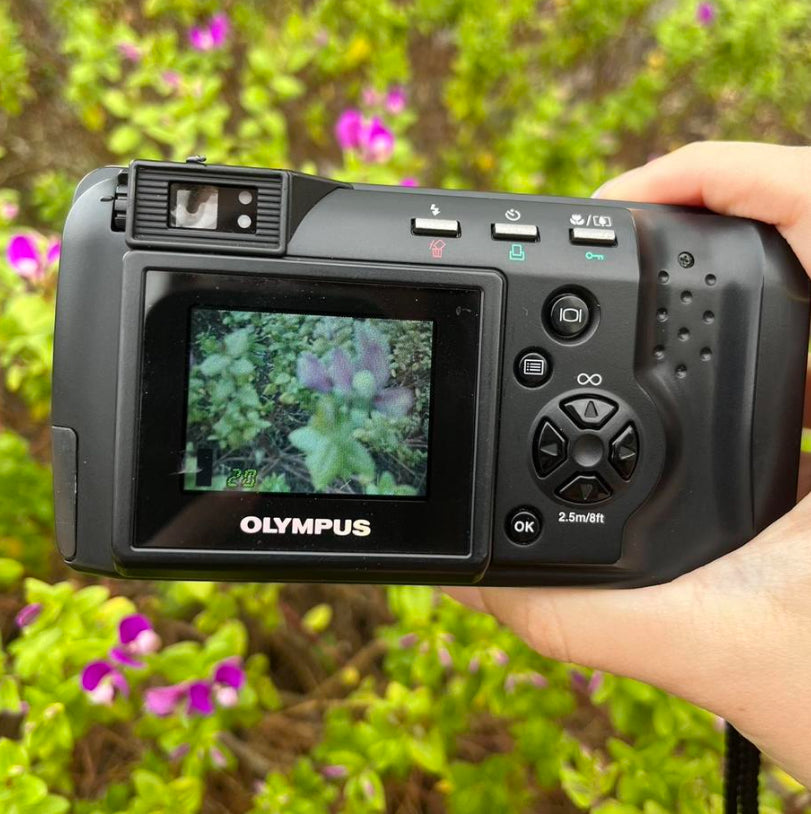 Olympus D-490 Zoom