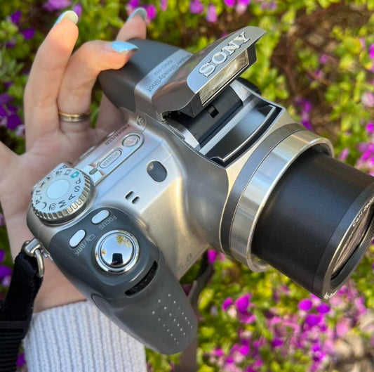 Sony Cyber-Shot DSC-H2