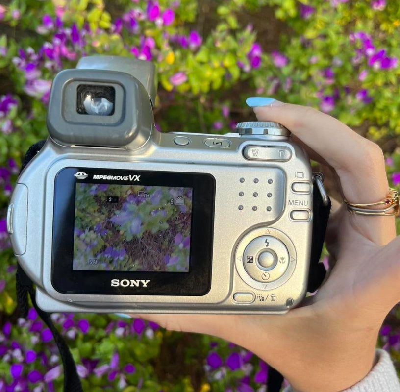 Sony Cyber-Shot DSC-H2