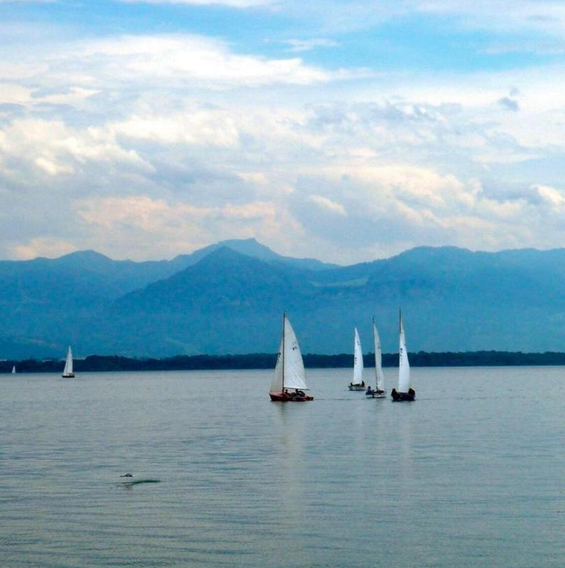 Sony Cyber-Shot DSC-T7